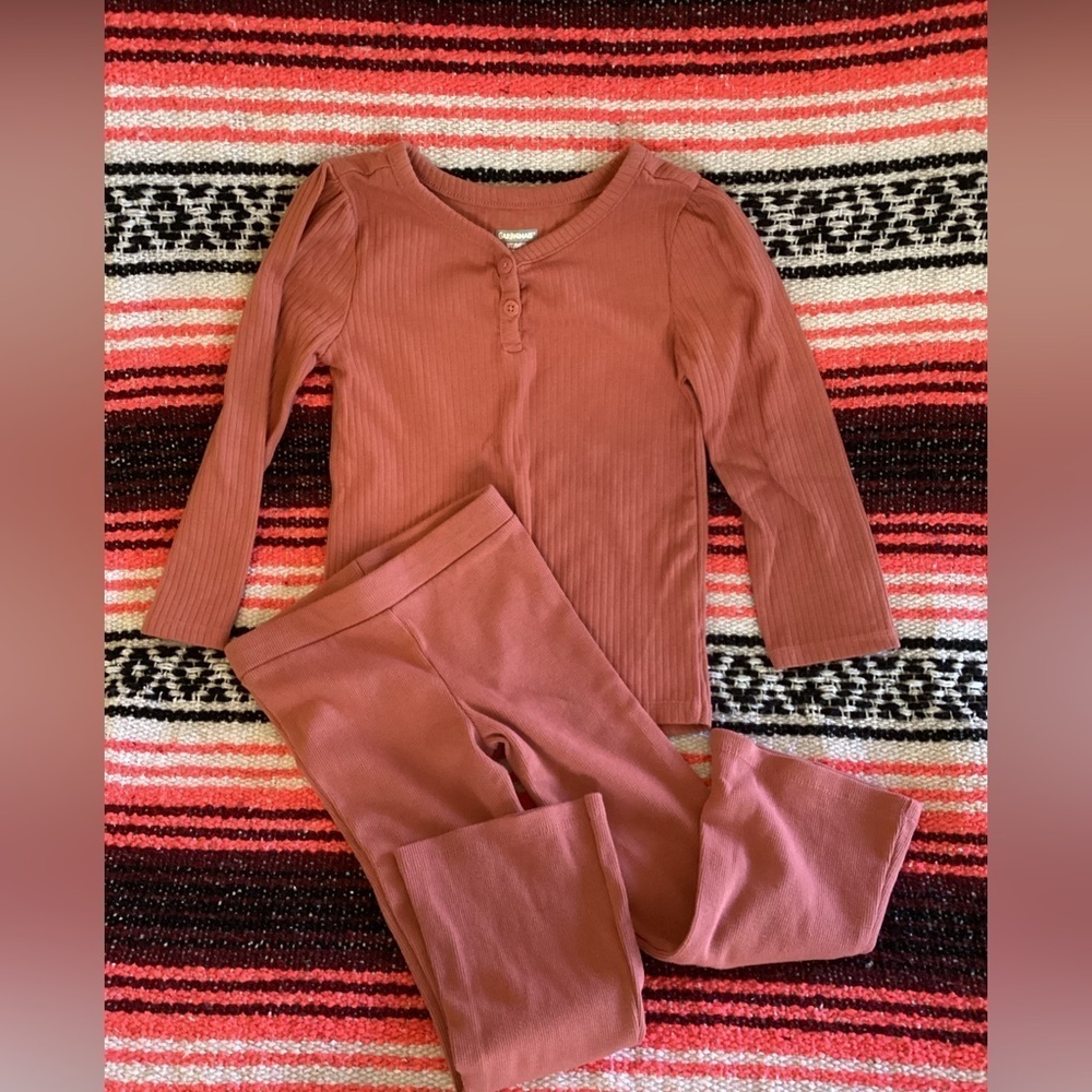 Garanimal leggings and top-SZ 3T